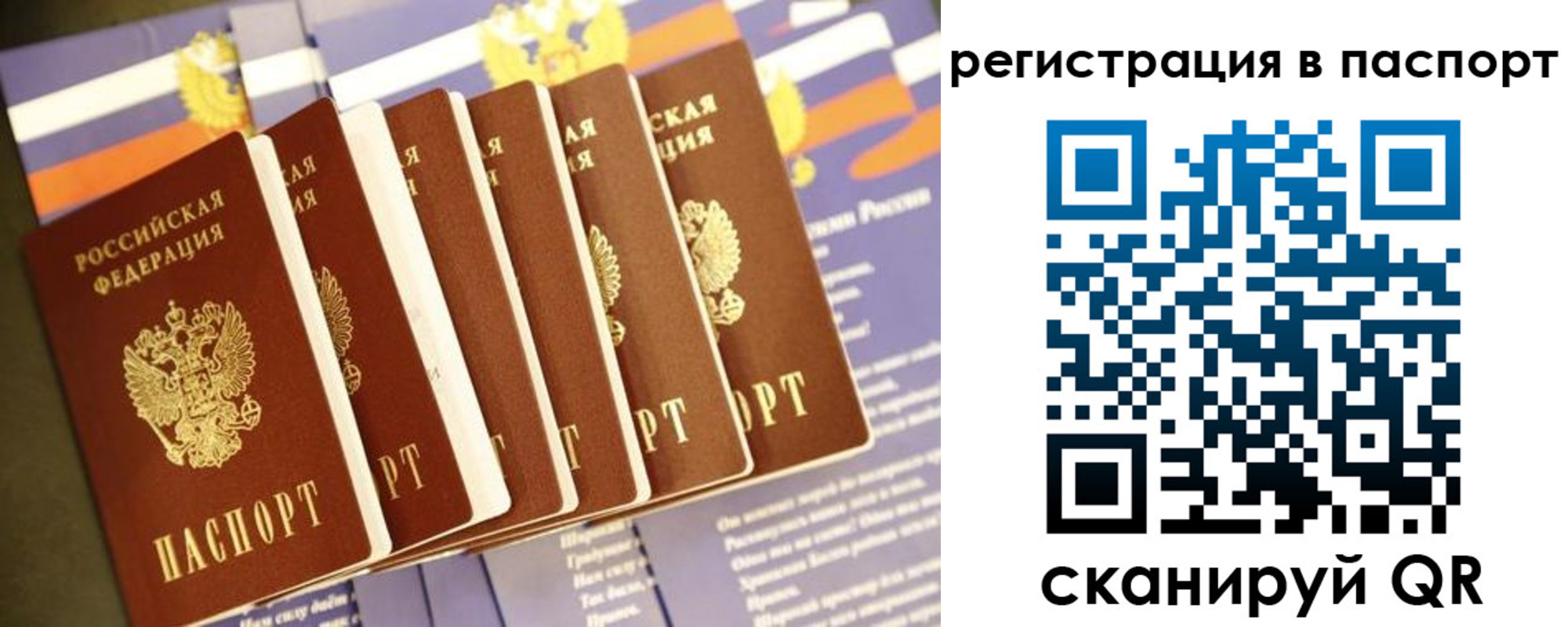 прописка поиск в Омске